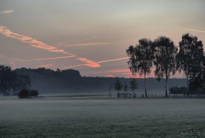 Fog at Sunrise
On my way to work I could not resist to take a picture in the morning
Keywords: fog sunrise