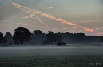 Fog at Sunrise
On my way to work I could not resist to take a picture in the morning
Trefwoorden: fog sunrise